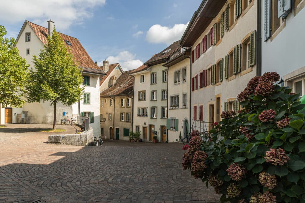 F&S immo team GmbH — Immobilienverwaltung in Urtenen-Schönbühl
