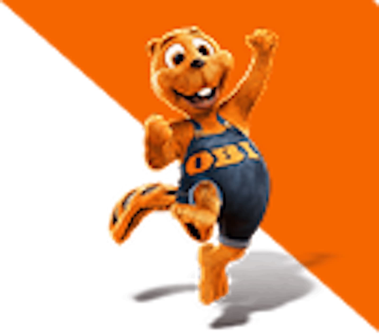 OBI Markt Schönbühl — Geschaeft in Moosseedorf (3)