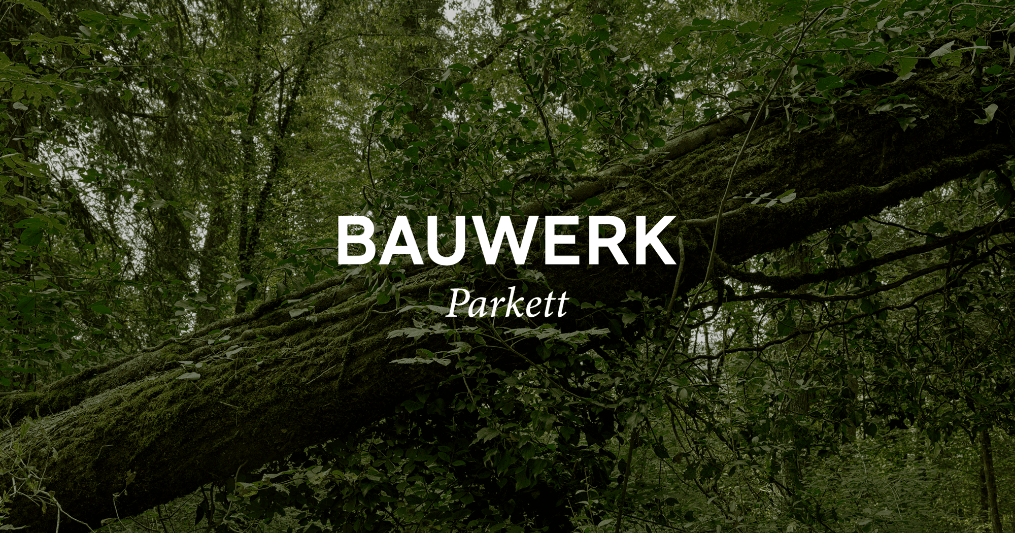 Bauwerk Parkettwelt Wallisellen — Bodenleger in Wallisellen