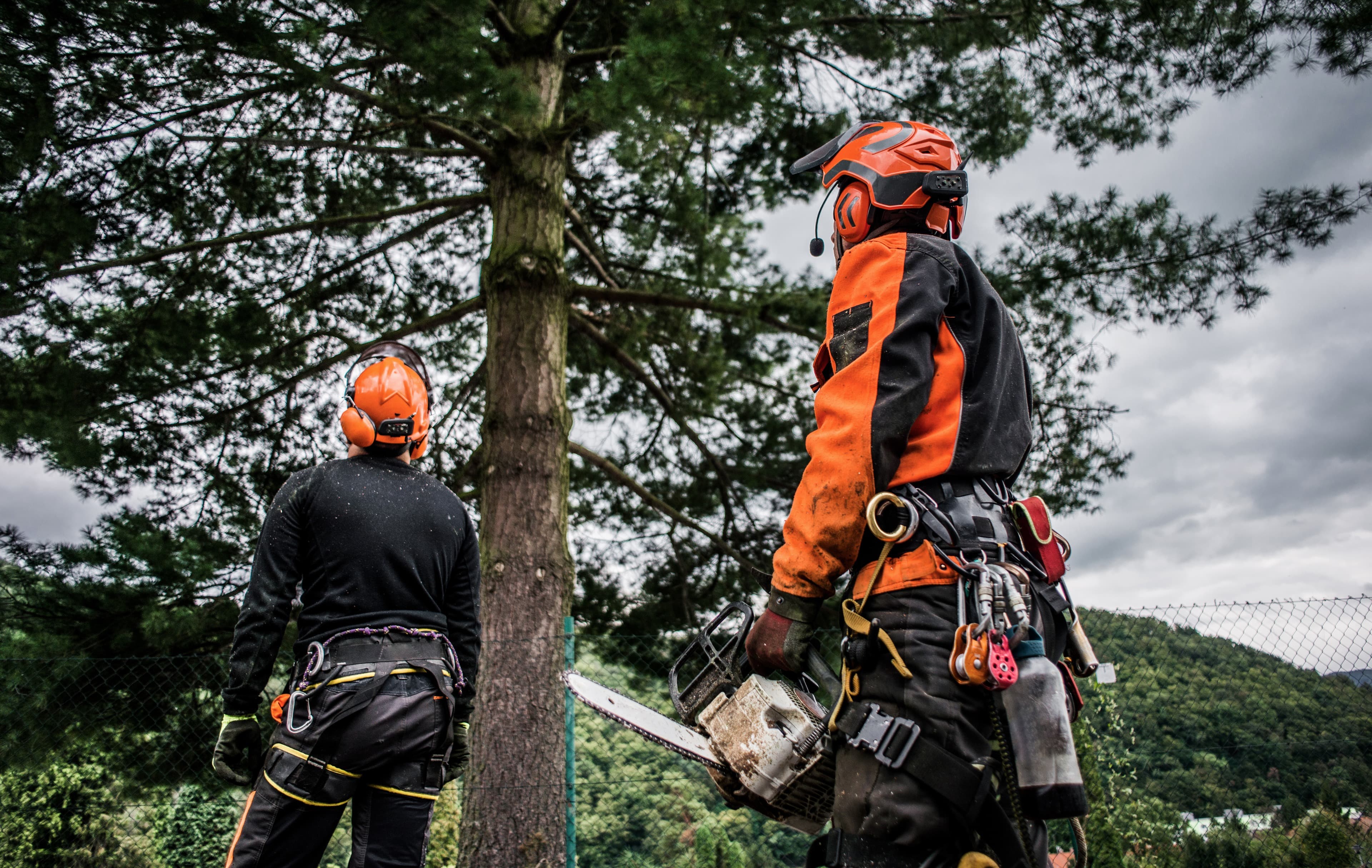 Baum und Garten AG — Bauunternehmen in Wetzikon