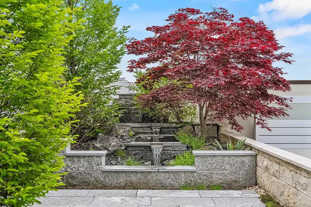 Scheibler Gartenbau AG — Sonstige in Wetzikon (Bild 3)