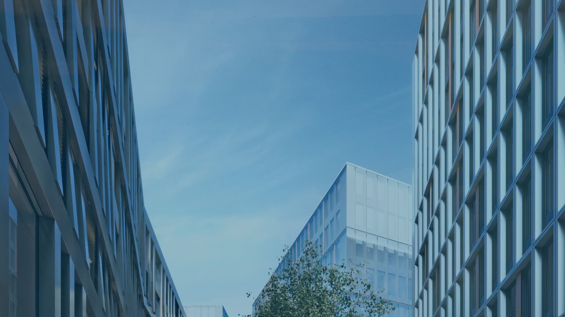 anliker IMMOBILIEN — Immobilienmakler in Kloten (Bild 3)