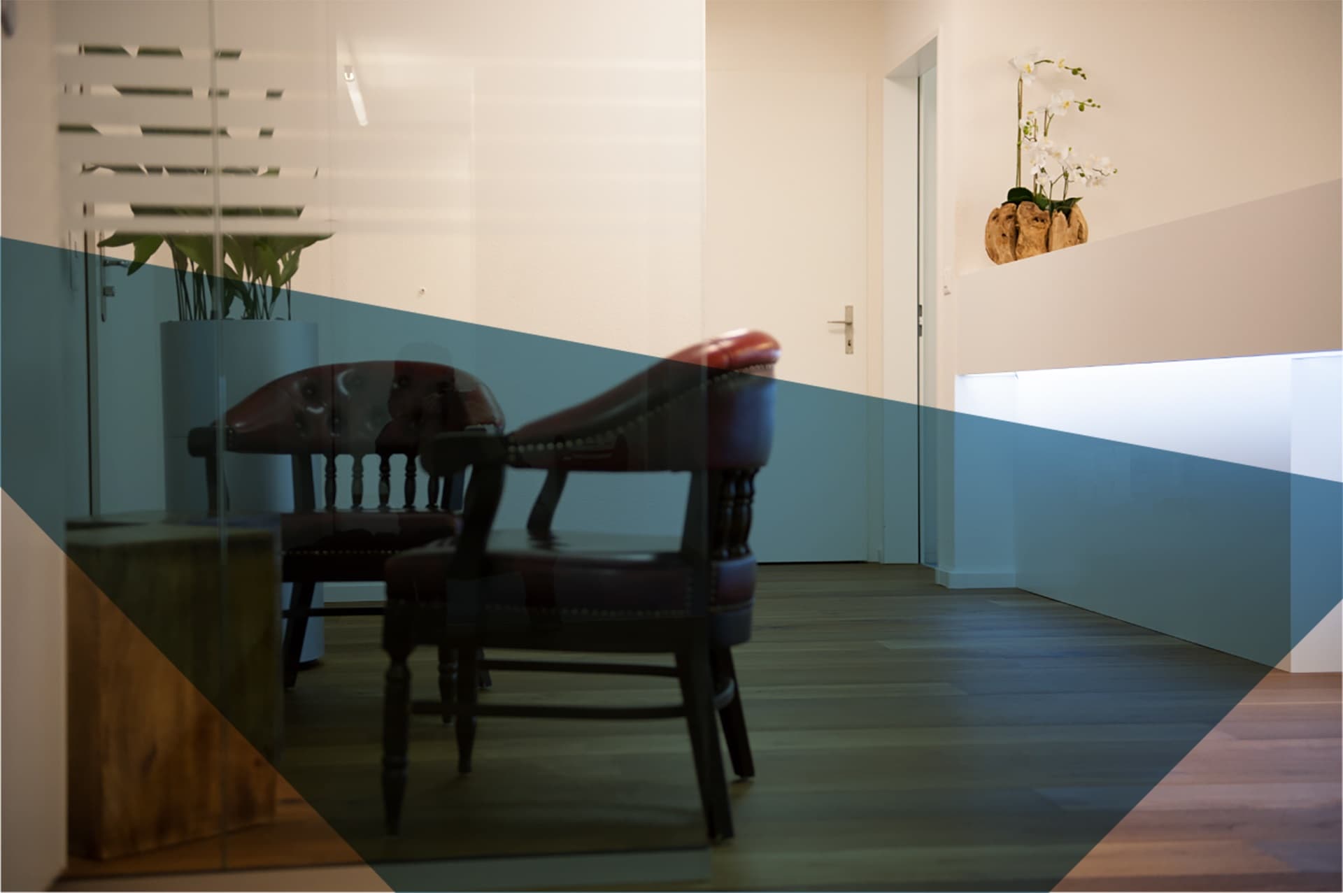 Kälin Immobilien-Treuhand AG — Immobilienmakler in Wallisellen