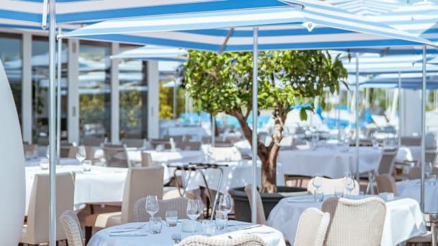 Seerose — Restaurant in Zürich (Bild 2)
