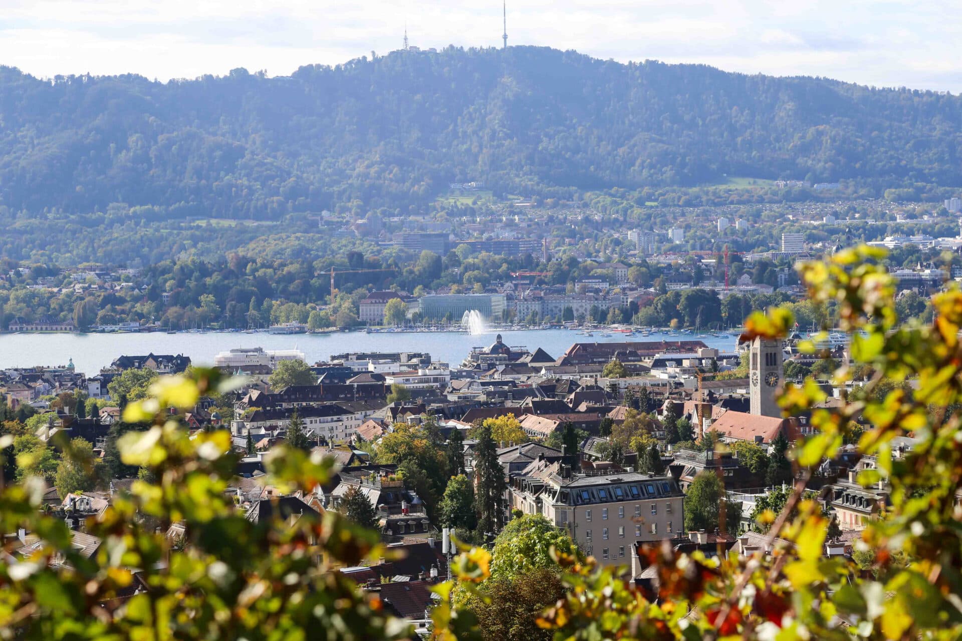 Restaurant Sonnenberg — Restaurant in Zürich (Bild 2)