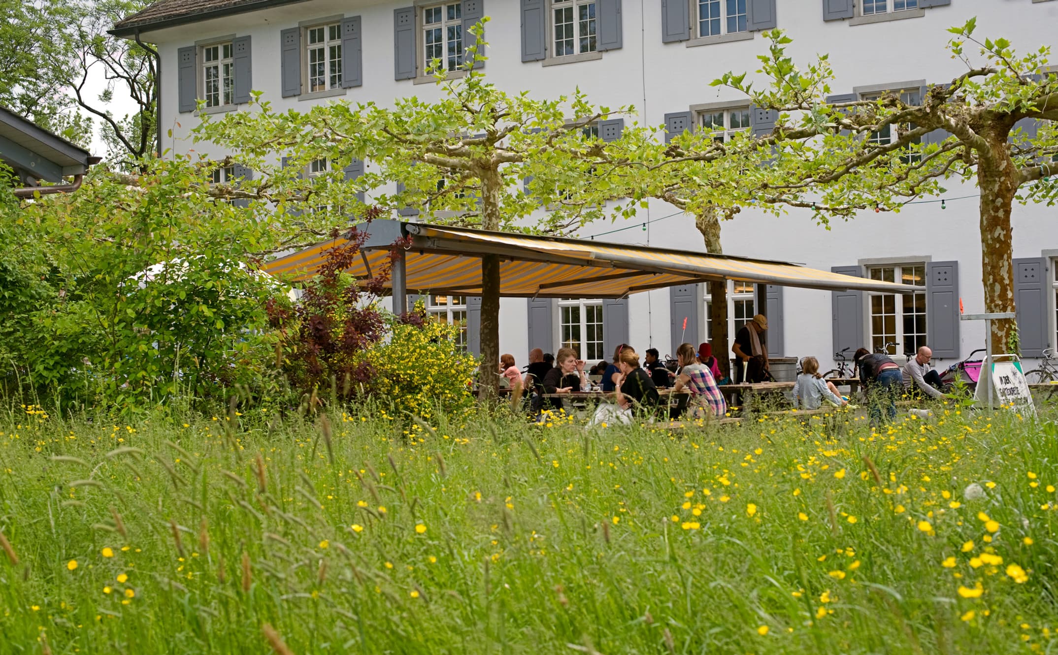 Werdinsel Restaurant Flussbad | Werdinsel GmbH — Restaurant in Zürich (Bild 2)