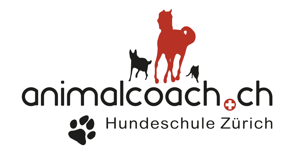 Hundeschule animalcoach.ch Zürich — Tierarzt in Zürich (Bild 2)