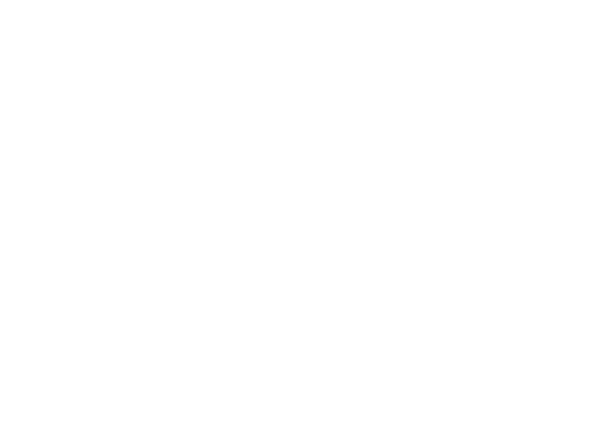 BurgerChuchi — Take-Away in Winterthur (Bild 3)