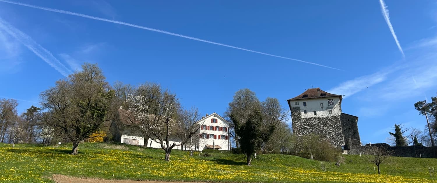 Gasthaus Schlosshalde — Restaurant in Stadel (Bild 2)