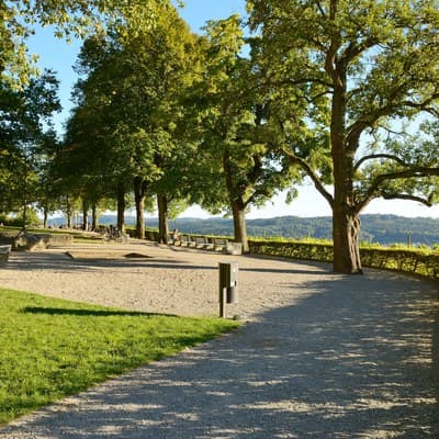 Bäumli Aussichtsterrasse — Sonstige in Winterthur (Bild 2)