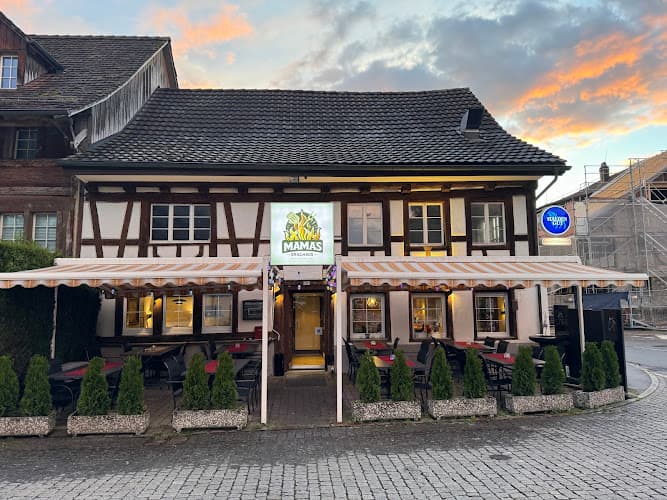 مطعم عراقي عربي كوردي Mama's Grillhaus — Restaurant in Volketswil