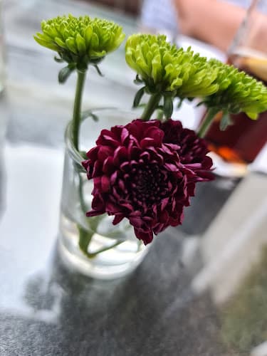 Restaurant Talgarten — Restaurant in Uster