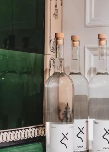 Gasthof Ochsen — Restaurant in Küsnacht (Bild 3)