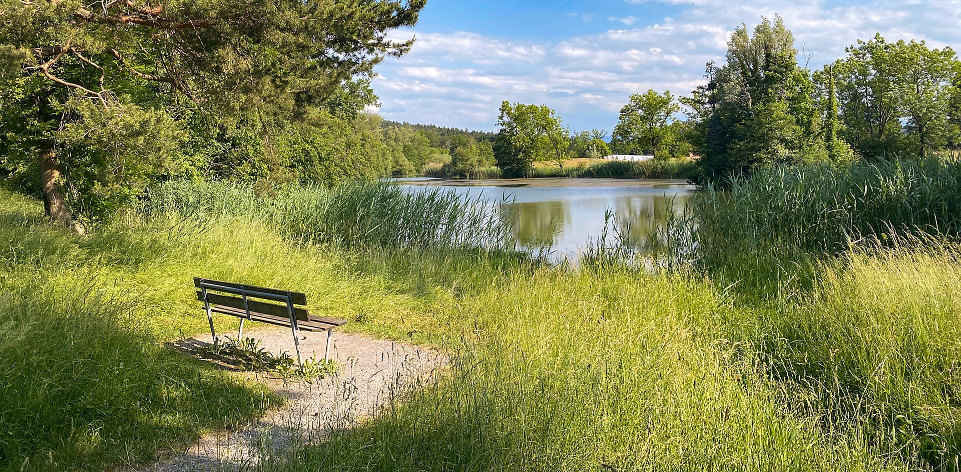 Gemeindeverwaltung Küsnacht — Sonstige in Küsnacht (Bild 2)