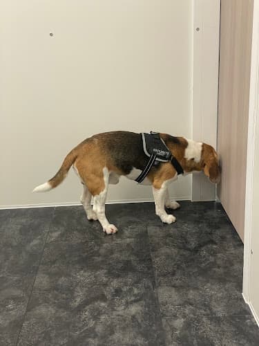 VET Zentrum Zürich Letzigrund — Tierarzt in Zürich