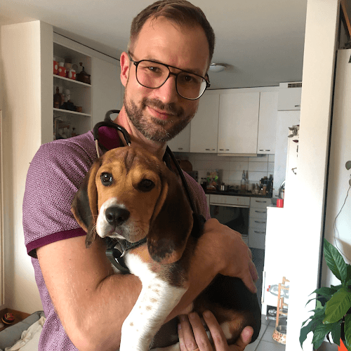 HausVet - Mobiler Tierarzt in Zürich — Tierarzt in Zürich