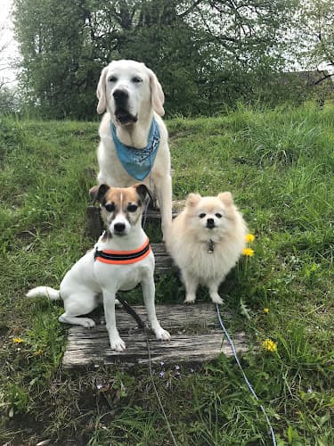 VetTrust Tierklinik Zürich Ost — Tierarzt in Dietlikon
