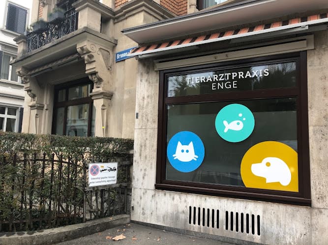 Tierarztpraxis Enge — Tierarzt in Zürich