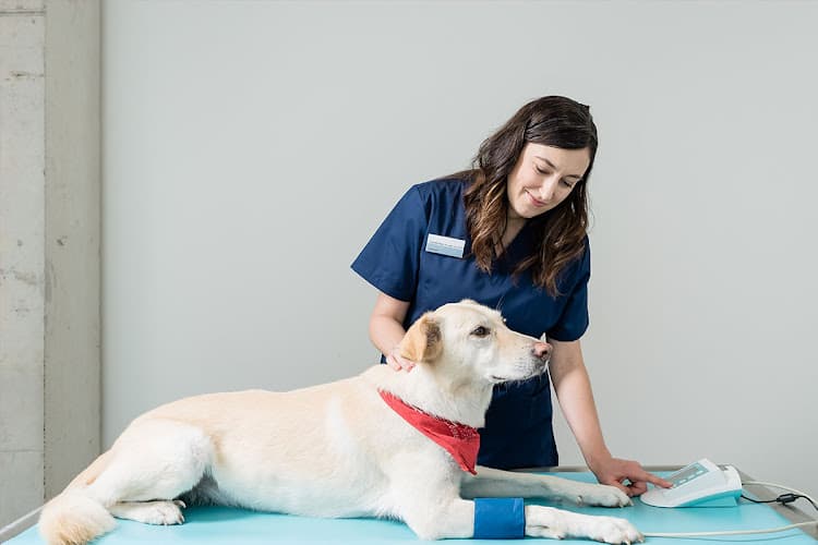 Vet Center AG — Tierarzt in Pfungen