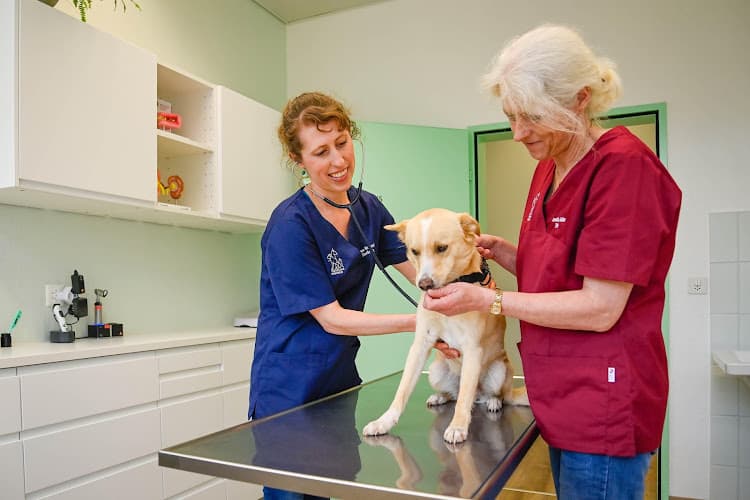 Tierklinik Rossweid AG — Tierarzt in Gockhausen
