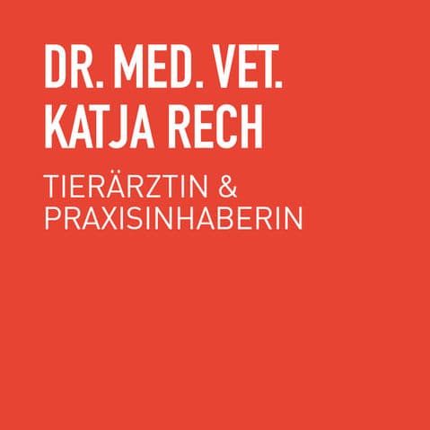 Kleintierpraxis Witikon AG, Dr. med. vet. Katja Rech — Tierarzt in Zürich (Bild 2)