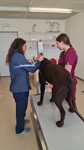 VetTrust Kleintierpraxis Winterthur im Zentrum — Tierarzt in Winterthur