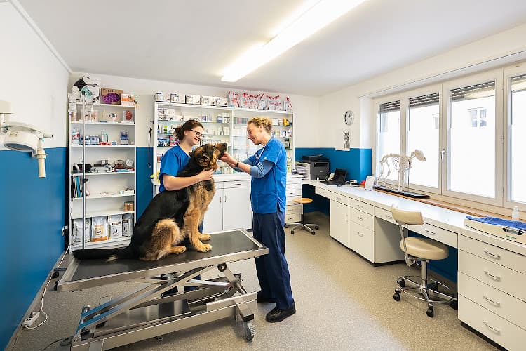 Kleintierpraxis Mühlebach GmbH — Tierarzt in Zürich