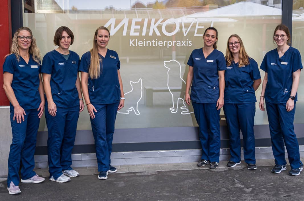 MeikoVet Kleintierpraxis Ittigen — Tierarzt in Ittigen (Bild 2)