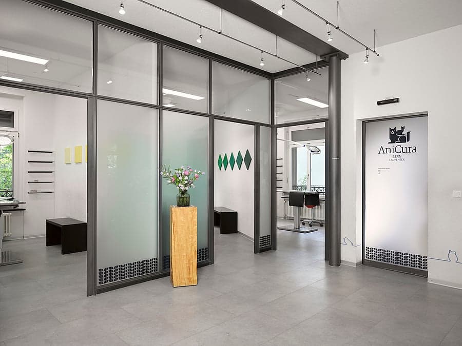 Kleintierpraxis Laupeneck — Tierarzt in Bern (Bild 3)