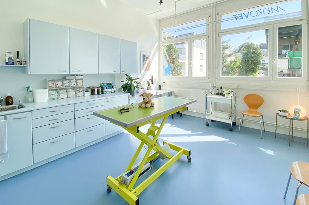 MeikoVet Kleintierpraxis Zollikon — Tierarzt in Zollikon (Bild 2)