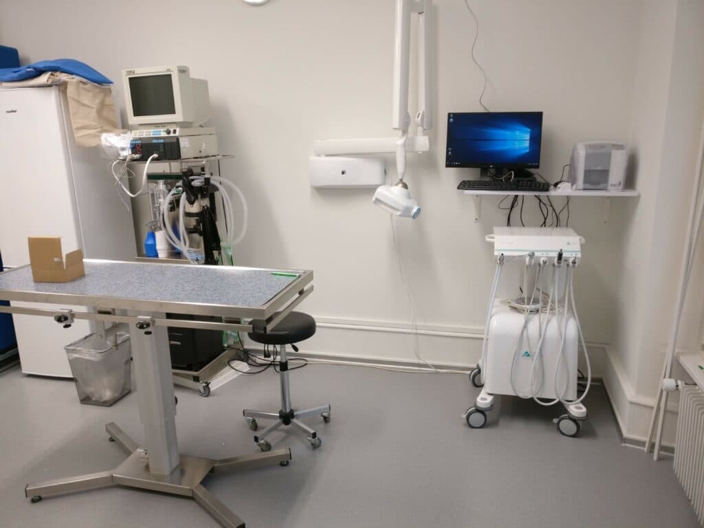 Kleintierpraxis Elfenau GmbH — Tierarzt in Bern (Bild 3)