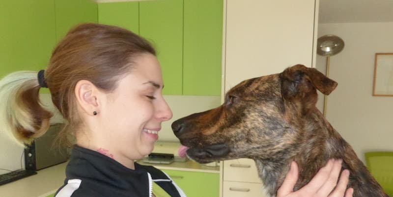 Spiegelwald Vets, the holistic vets — Psychotherapeut in Spiegel
