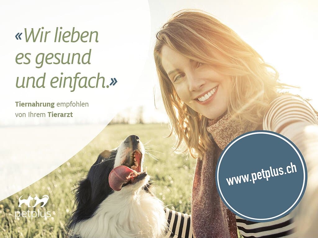 Kleintierpraxis Rüedi AG — Tierarzt in Laupen (Bild 2)
