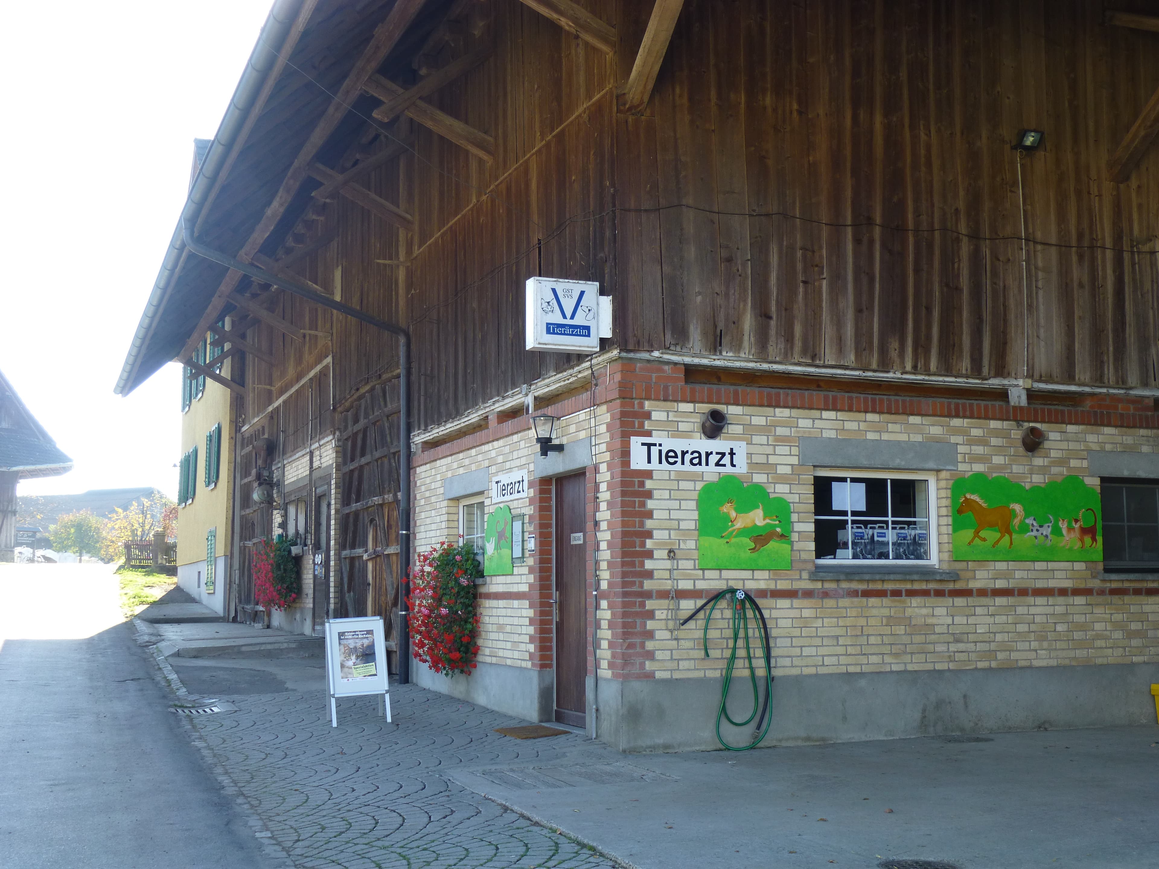 Dr. med. vet. Regula Hottinger — Tierarzt in Obfelden