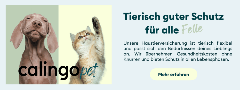 Tierarztpraxis Knecht — Tierarzt in Volketswil (Bild 2)