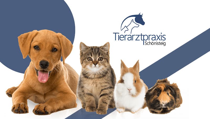Dr.med.vet K. Karlovich — Tierarzt in Bassersdorf