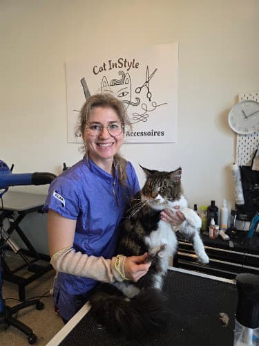 Cat InStyle — Tierarzt in Wallisellen