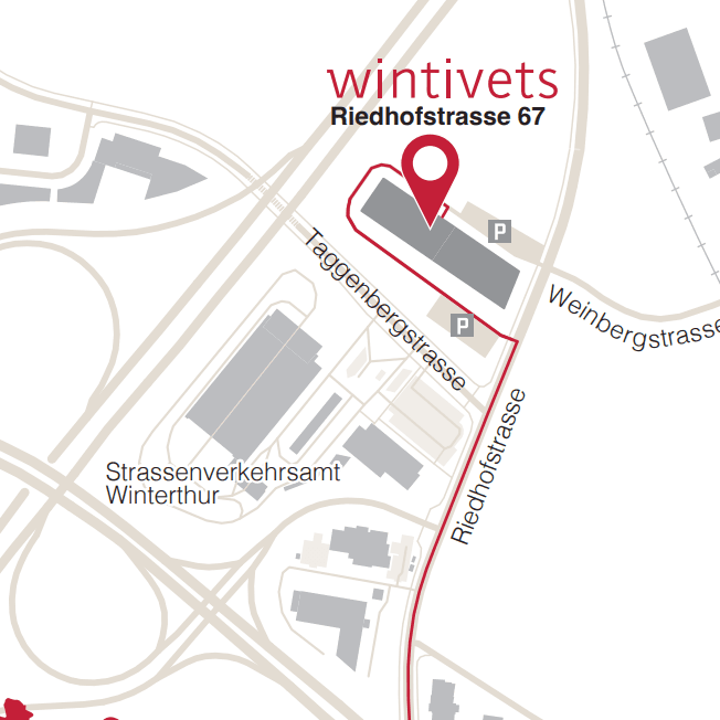 wintivets AG Tierklinik — Tierarzt in Winterthur (Bild 3)