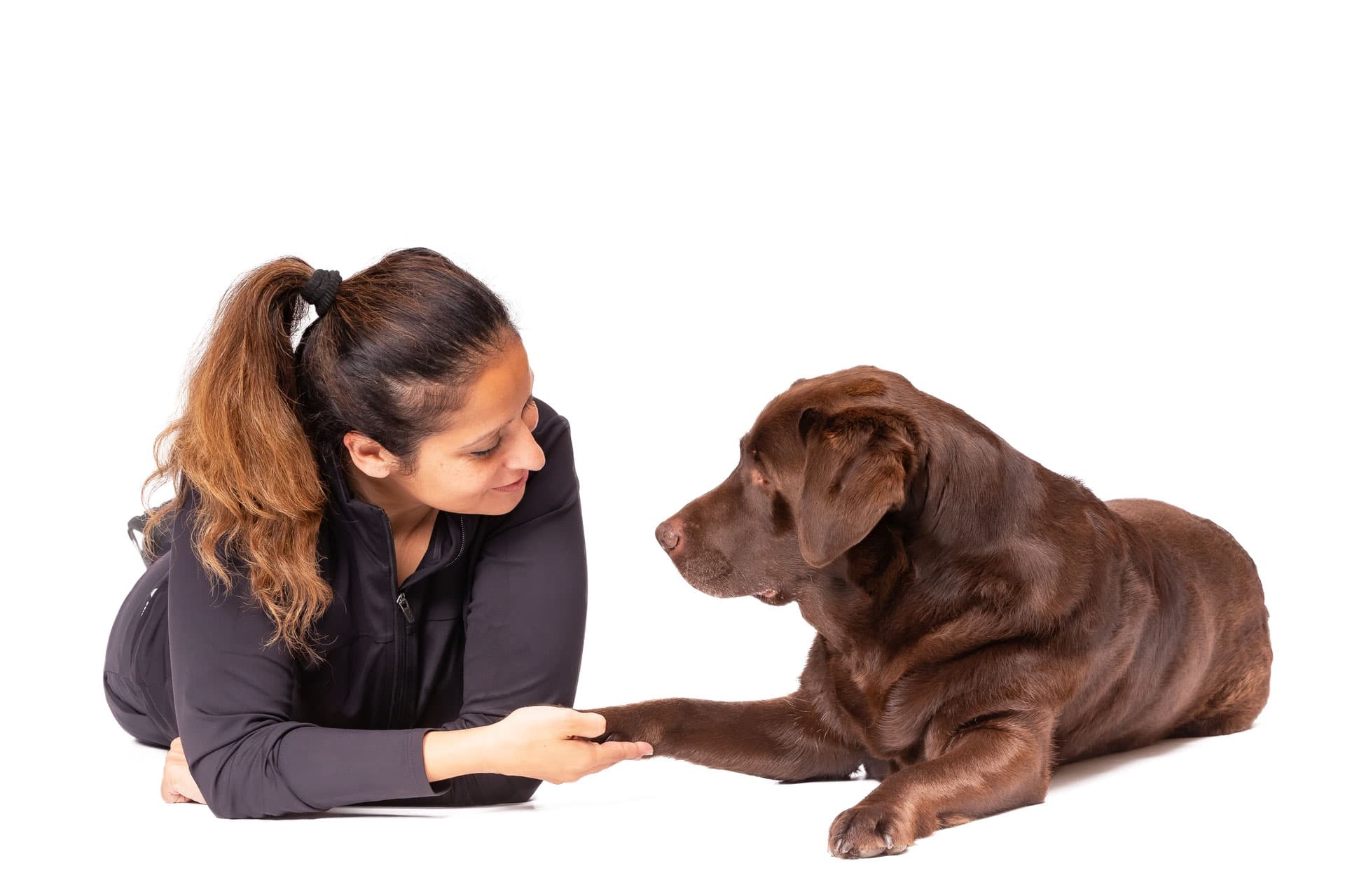 Gesundhund GmbH — Physiotherapie in Winterthur (Bild 2)