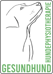 Gesundhund GmbH — Physiotherapie in Winterthur (Bild 3)