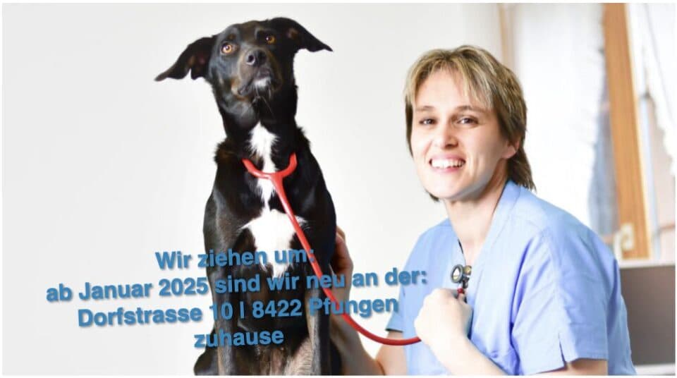Tierarztpraxis in der Ebni GmbH — Tierarzt in Pfungen (Bild 2)