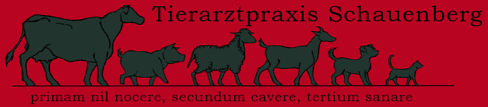 Tierarztpraxis Schauenberg — Tierarzt in Elgg (Bild 3)