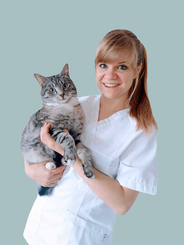 Praxis EnerQi - Veterinärmedizinische Akupunktur, Dr. med. vet. CVA Zimmermann