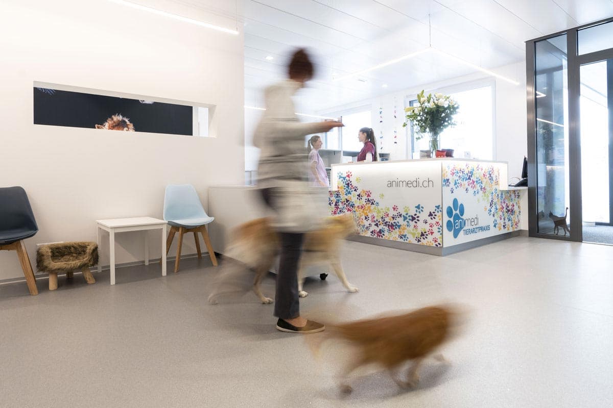Animedi Gmbh — Tierarzt in Frauenfeld (Bild 2)