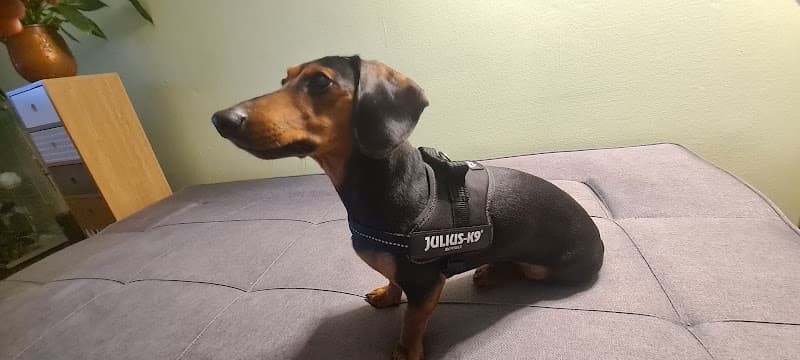 Fressnapf Volketswil — Geschaeft in Volketswil