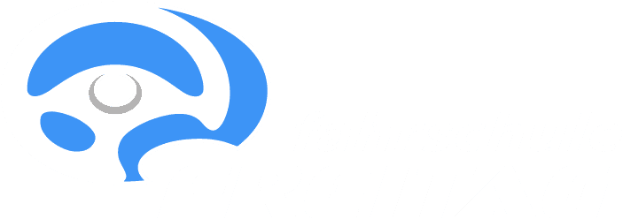 Fahrschule Freitag — Fahrschule in Zürich (Bild 2)