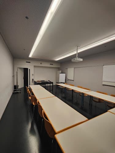 First Aid Course Zurich - English Nothelferkurs for Driving License — Fahrschule in Zürich