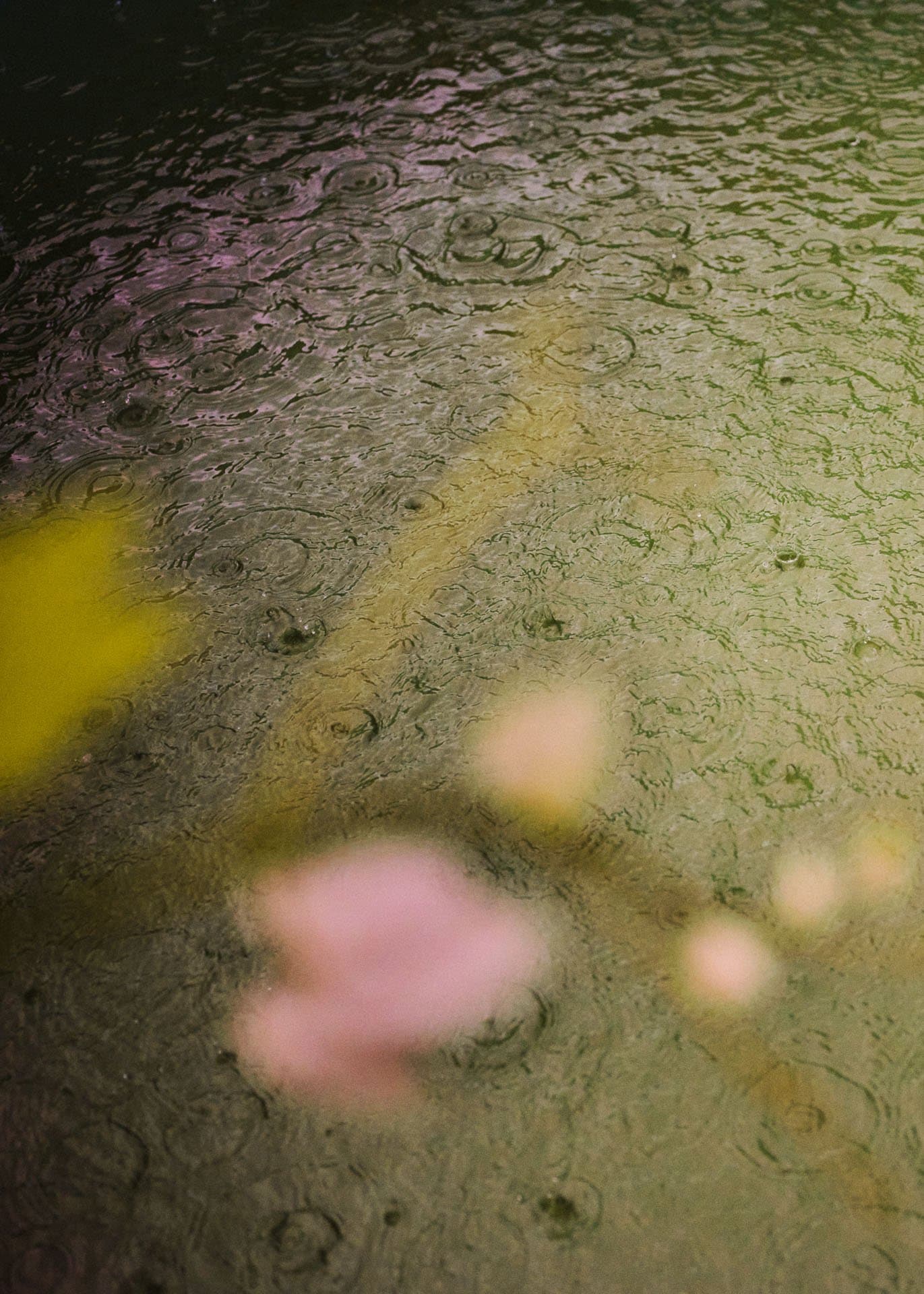 JIVITA — Naturheilpraktiker in Zollikon (Bild 3)