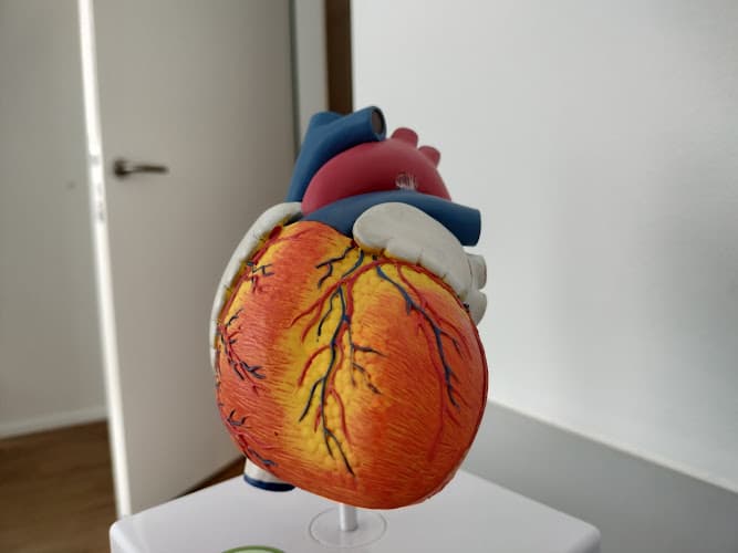 Dr. med. K.-G. Bullert MHBA, Facharzt für Kardiologie und Facharzt für Allgemeine Innere Medizin — Arzt in Wallisellen