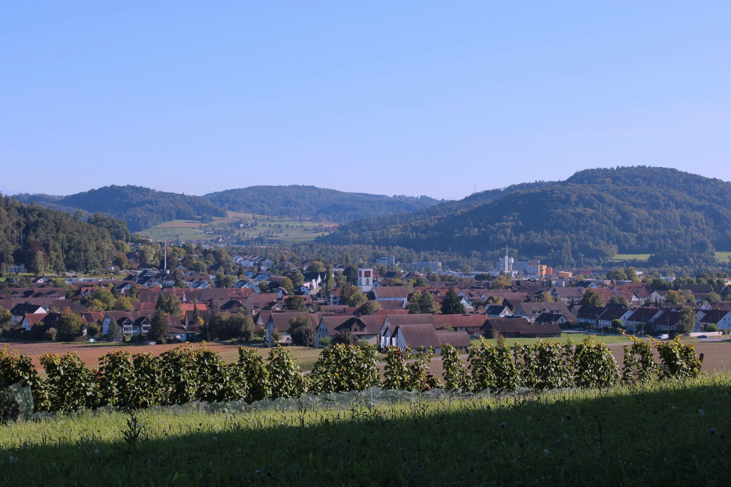 Hausarztpraxis mit kardio- & angiologischem Schwerpunkt – Internisten A. Baglay & H. Ohliger — Arzt in Neftenbach (Bild 2)